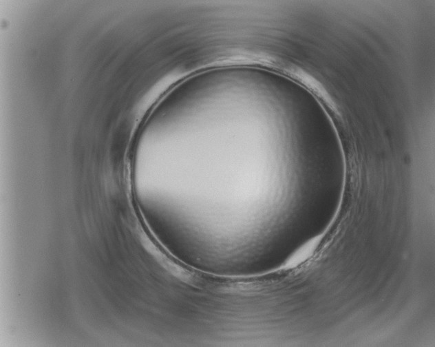 X0000078831476200611201235