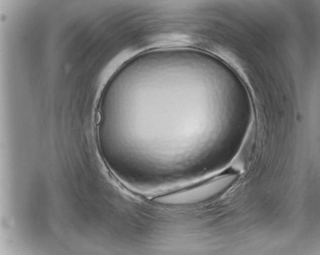 X0000078831488200611201235