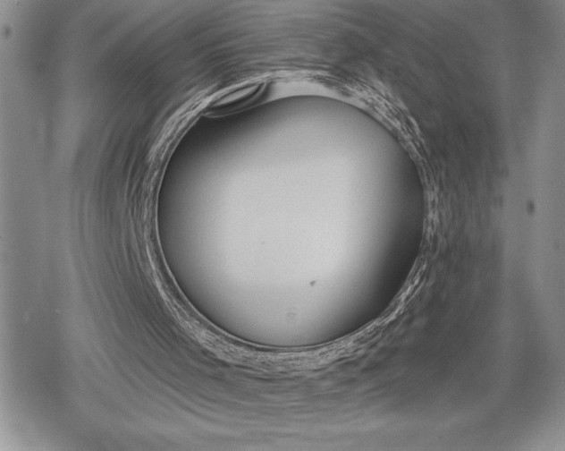 X0000078830001200611271308