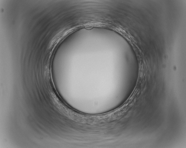 X0000078830002200611271308