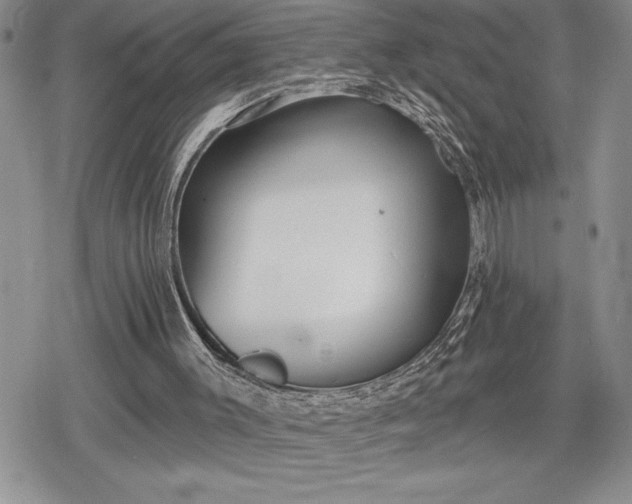 X0000078830003200611271308