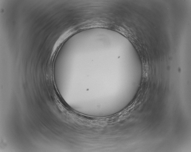 X0000078830004200611271308