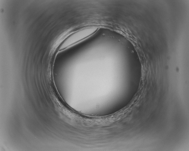 X0000078830005200611271308