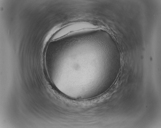 X0000078830006200611271308