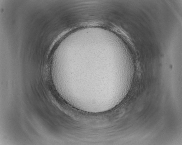 X0000078830012200611271308