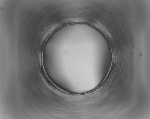 X0000078830014200611271308