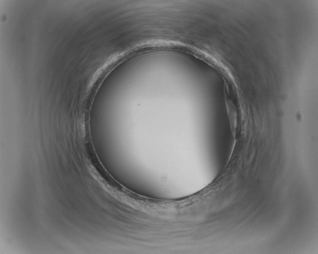 X0000078830015200611271308