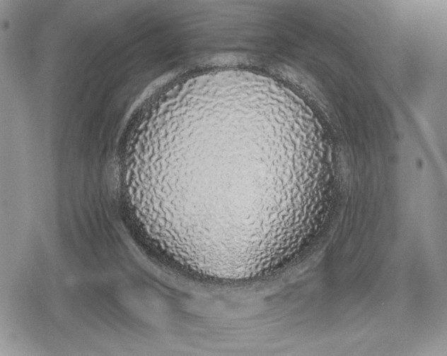 X0000078830016200611271308