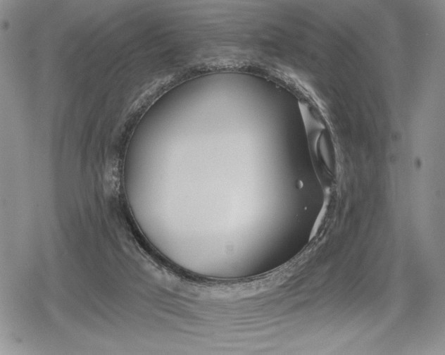 X0000078830017200611271308