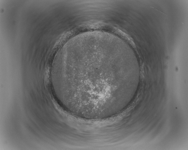 X0000078830018200611271308