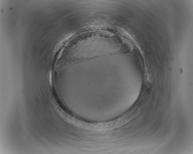 X0000078830019200611271308