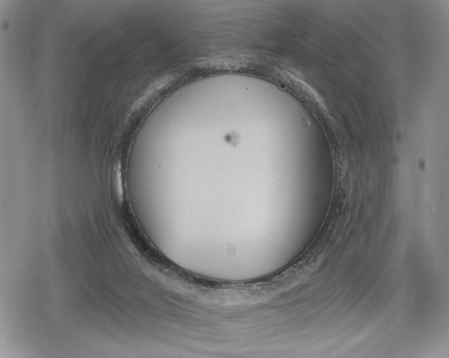 X0000078830020200611271308