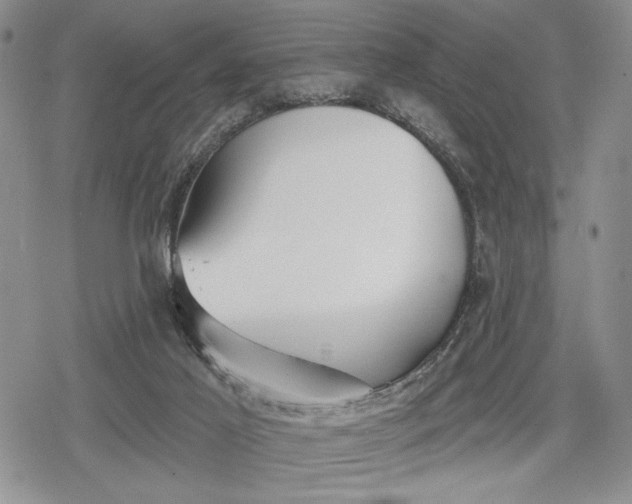 X0000078830021200611271308