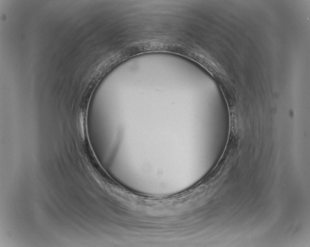 X0000078830022200611271308