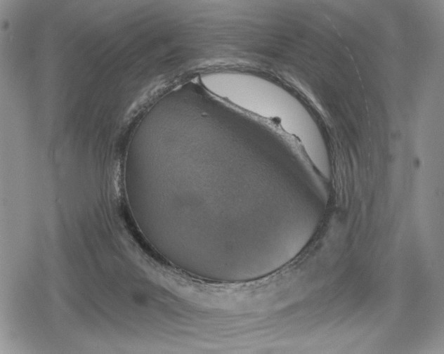 X0000078830023200611271308