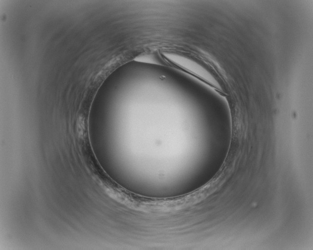 X0000078830025200611271308