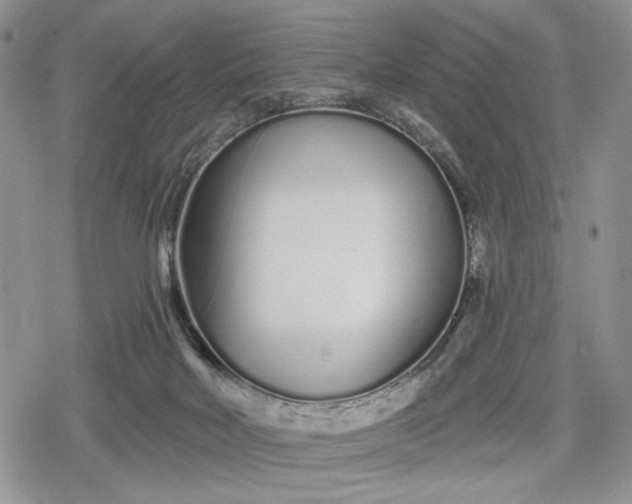 X0000078830026200611271308