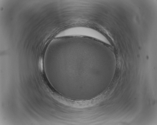 X0000078830027200611271308