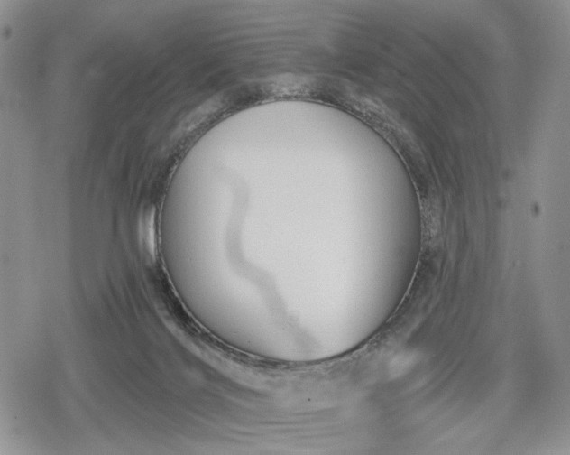 X0000078830028200611271308