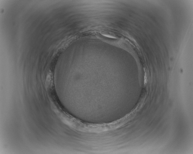 X0000078830029200611271308