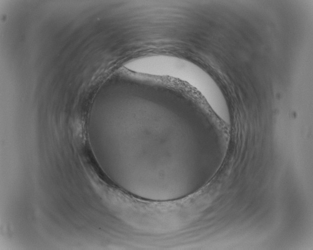 X0000078830031200611271308