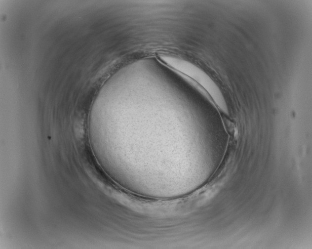 X0000078830032200611271308