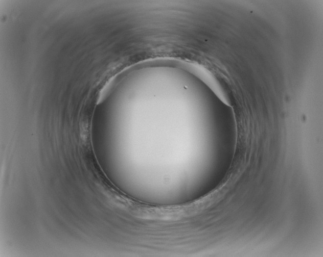 X0000078830033200611271308