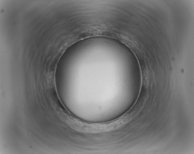 X0000078830034200611271308