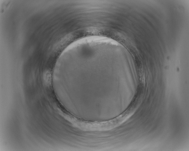 X0000078830036200611271308