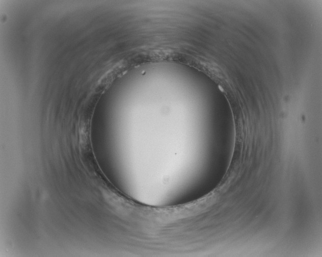 X0000078830037200611271308