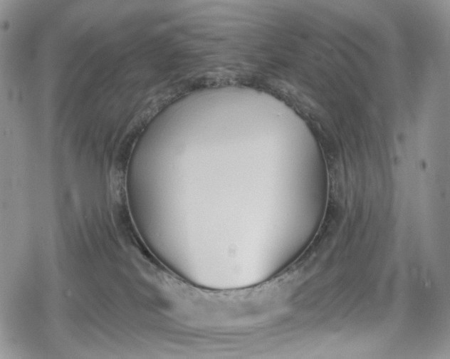 X0000078830038200611271308