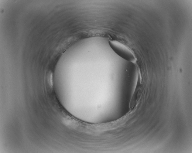 X0000078830041200611271308