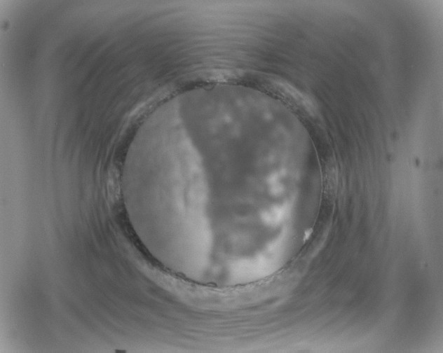 X0000078830043200611271308