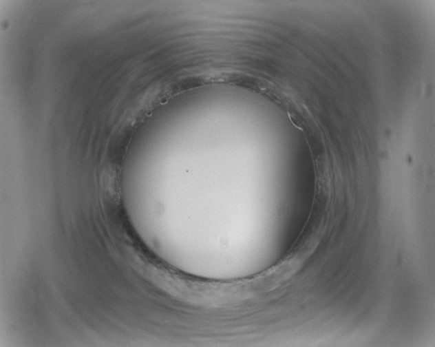 X0000078830044200611271308