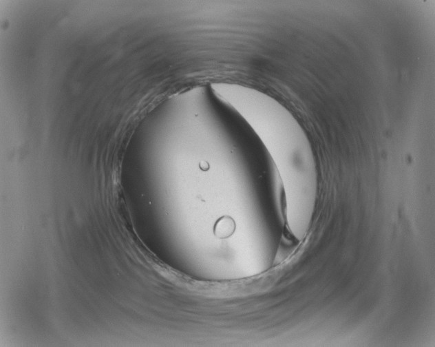 X0000078830045200611271308