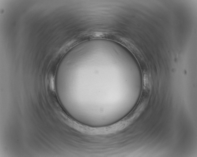 X0000078830046200611271308