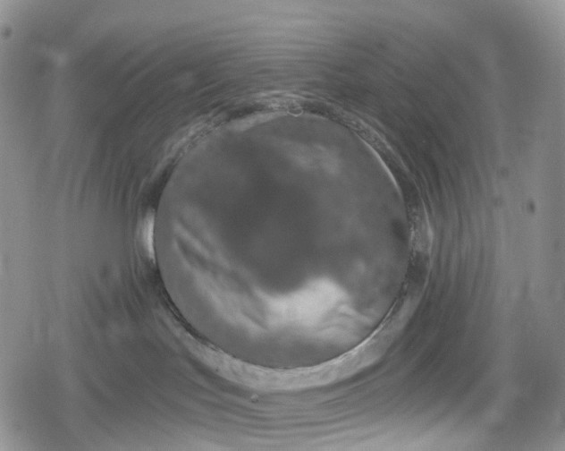 X0000078830047200611271308