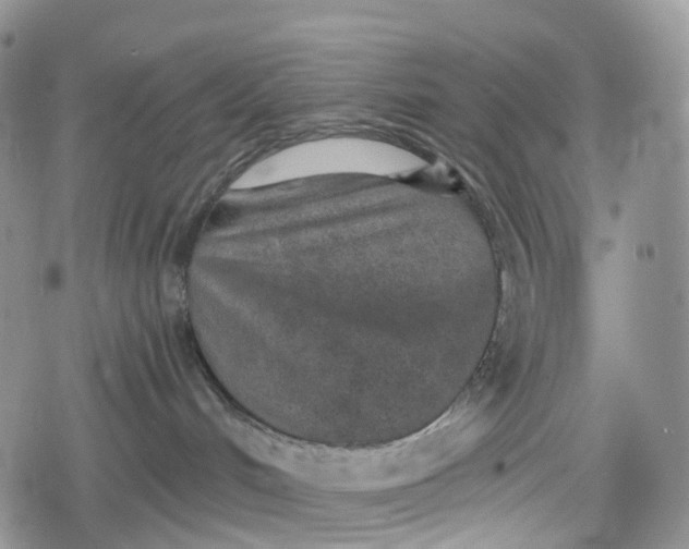 X0000078830048200611271308