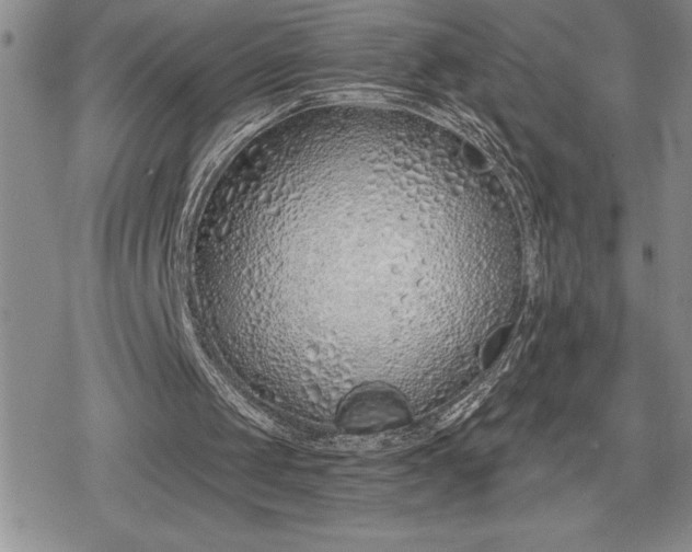 X0000078830049200611271307