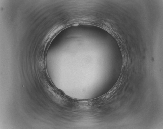 X0000078830050200611271307