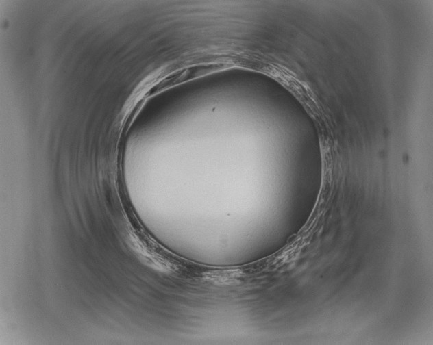 X0000078830051200611271307