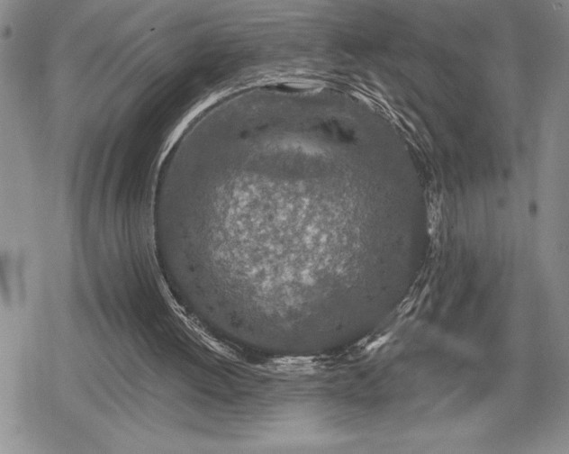 X0000078830052200611271307