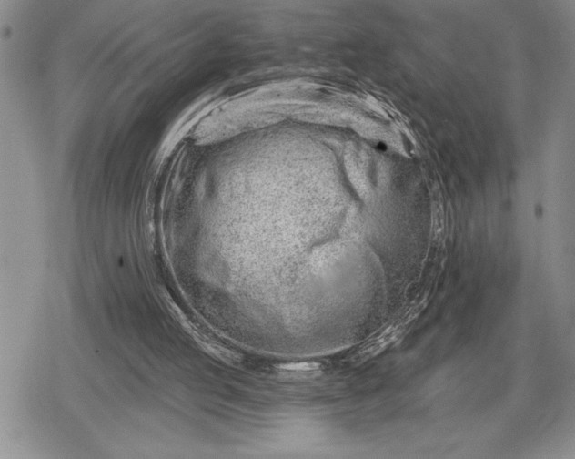 X0000078830053200611271307