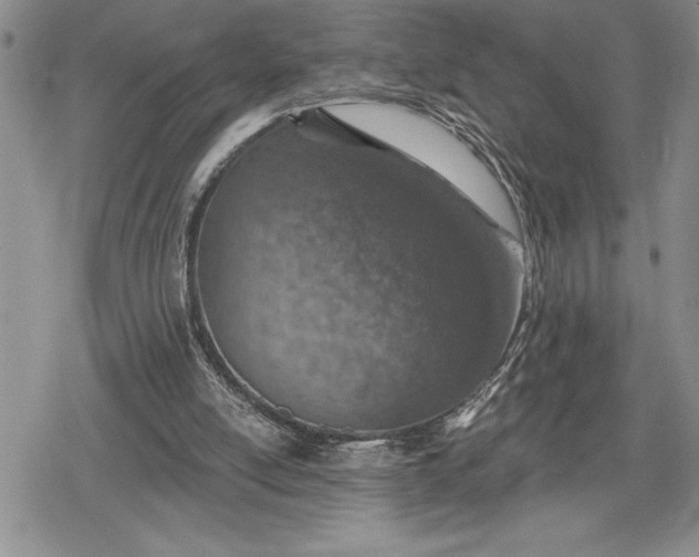 X0000078830054200611271307