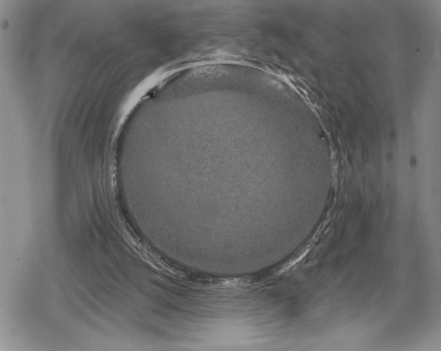 X0000078830056200611271307