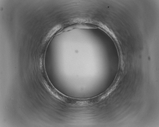 X0000078830057200611271307