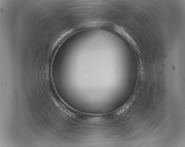 X0000078830058200611271307