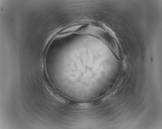 X0000078830059200611271307