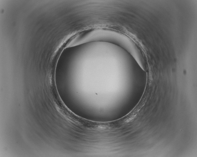 X0000078830060200611271307