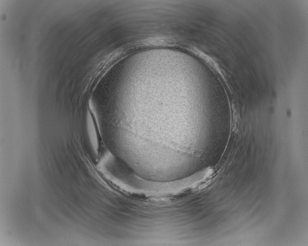 X0000078830061200611271307